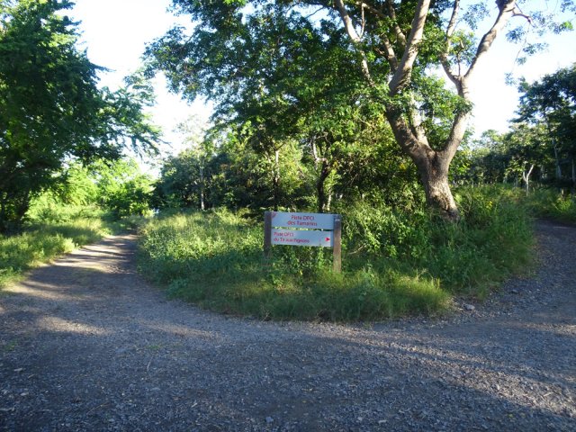 Partir à gauche sur la piste DFCI des Tamarins