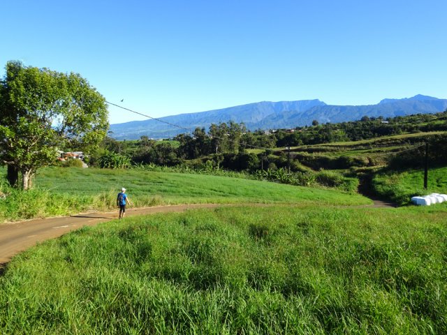 La Route du Site au milieu des prairies