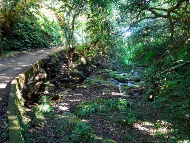 Le petit pont enjambant la ravine