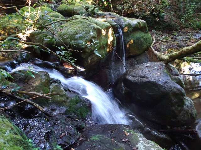 20 m en aval, coulent 3 petites cascades