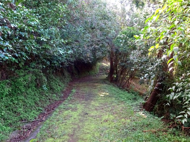 On se retrouve en pleine nature sur pistes et sentiers