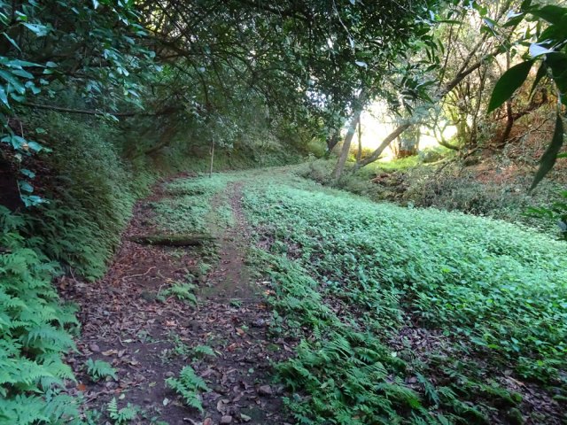 On peut poursuivre sur cette piste ou partir vers la source