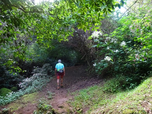 Détour recommandé vers le ruisseau