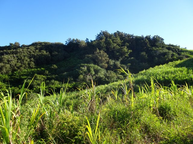 On contourne par l'est le Piton de Many