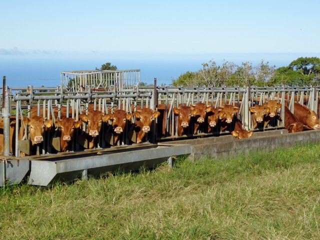 Puis on entre au cœur de la zone d'élevage