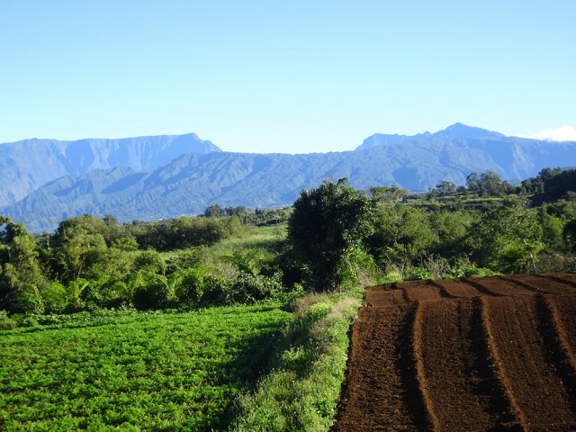 On marche en pleine campagne