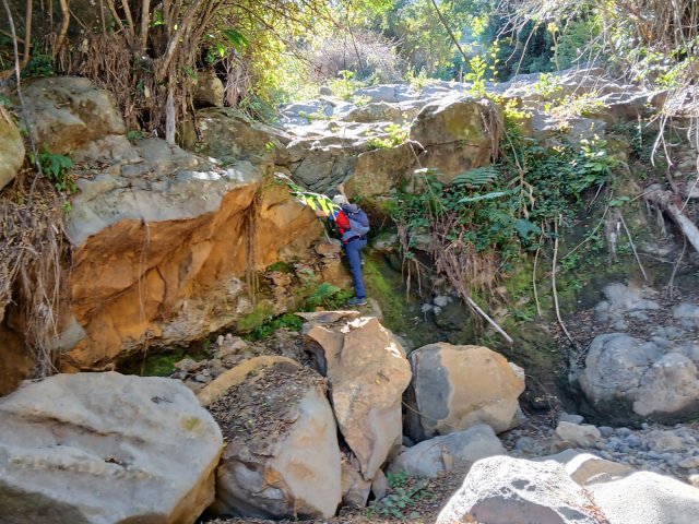 D'autres demandent un petit effort