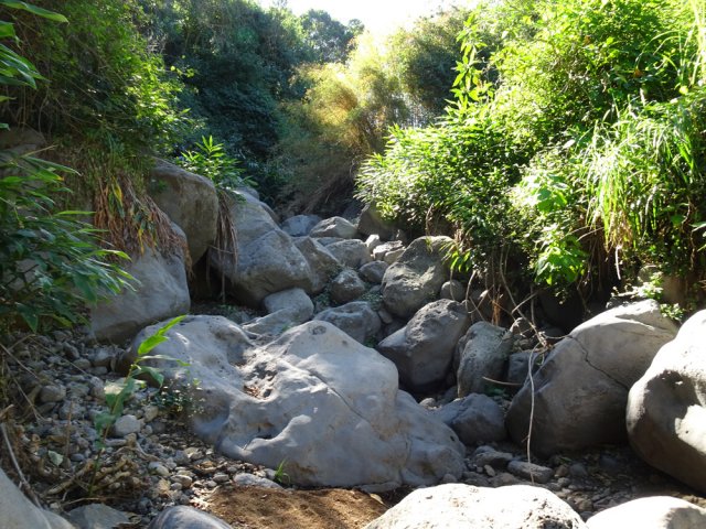 La deuxième partie est un peu plus étroite dans la verdure