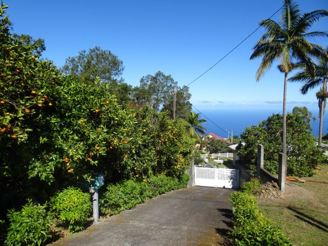 Les abords de la RD3 sont fleuris avec des points de vue sur la mer