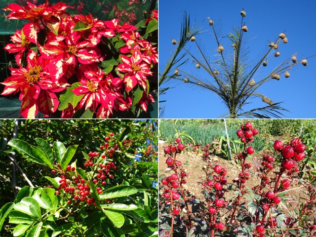 Il y a toujours quelque chose à admirer sur le bord des routes et des pistes