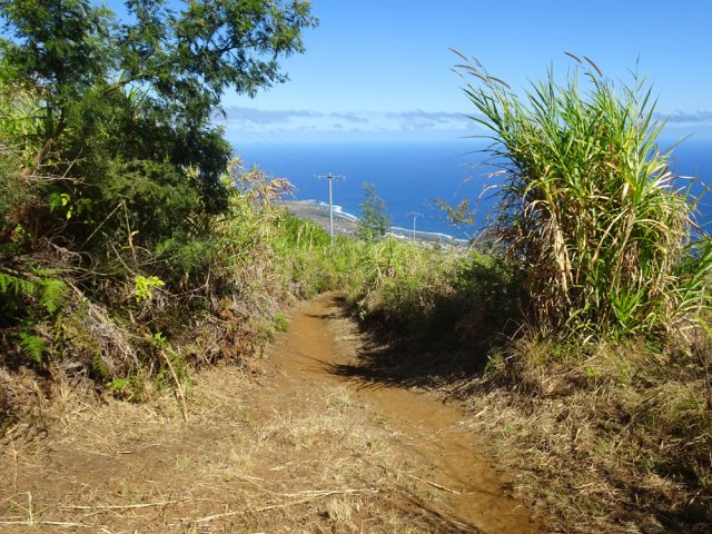 Début de la longue descente sur un chemin usé par les chaussures de sport