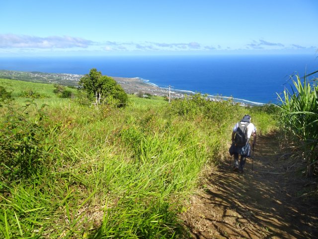 Plus bas, prairies et champs de canne remplacent les friches