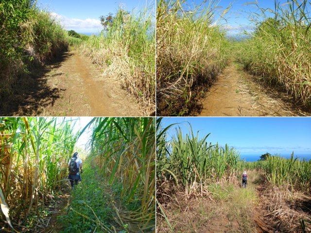 Quelques exemples des pistes empruntées