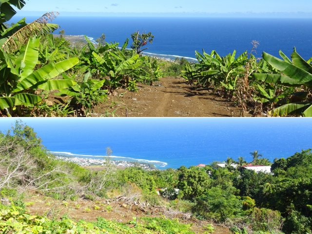 La partie basse est plus cultivée à l'approche du village