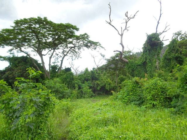 La clairière au croisement de la boucle de Dauguet