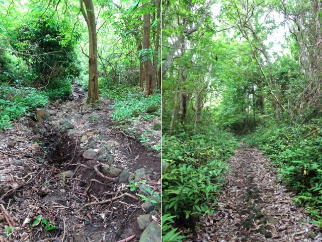 Les ruissellements ont défoncé certaines parties du chemin