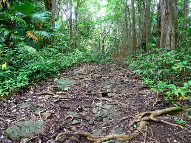 D'anciennes traces de pavage