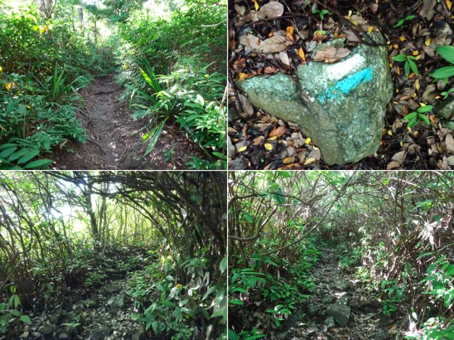 Quelques exemples du sentier en direction du Pouce