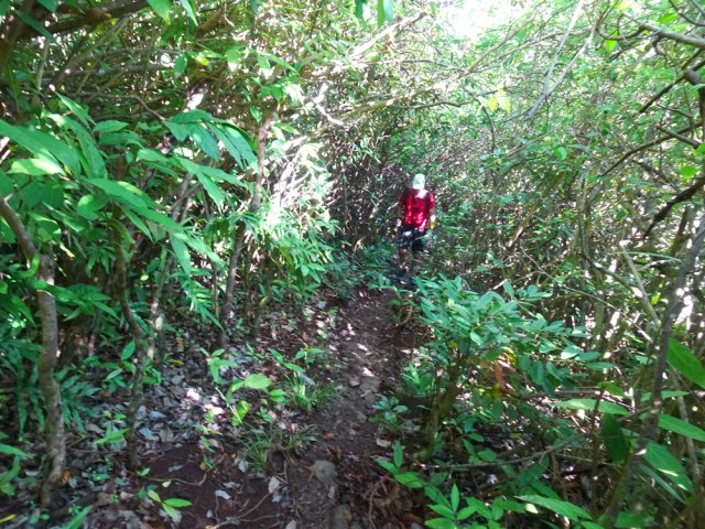 Quelques portions plus pentues