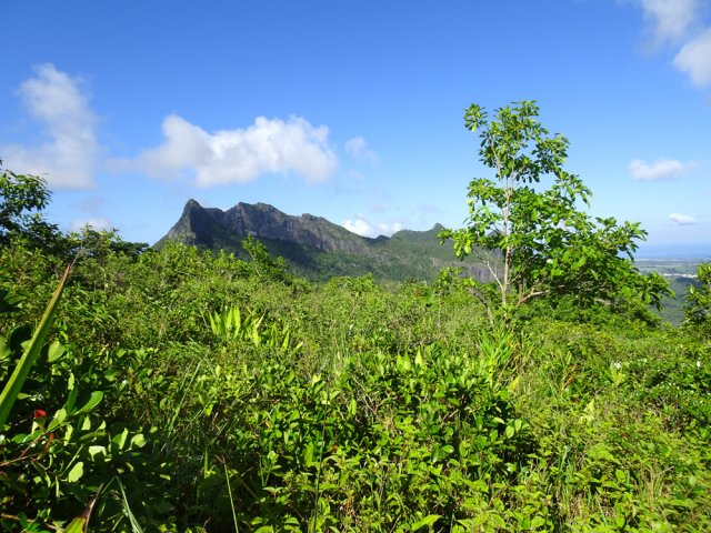 Snail Rock et la Montagne du Signal qui domine Port Louis