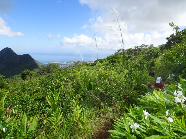 Le plateau avant le Pouce est couvert de longoses