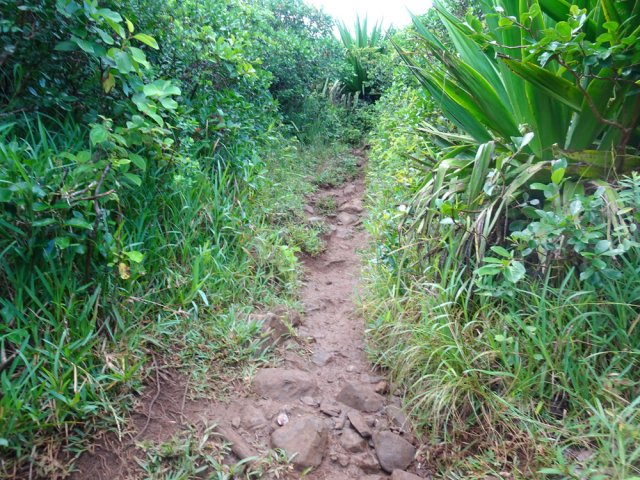 La zone est humide et le sentier peut y être glissant