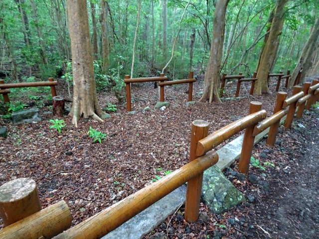 Les premiers hectomètres sont bordés de rambardes en bois
