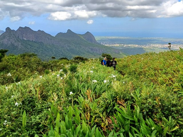 Et encore des longoses partout