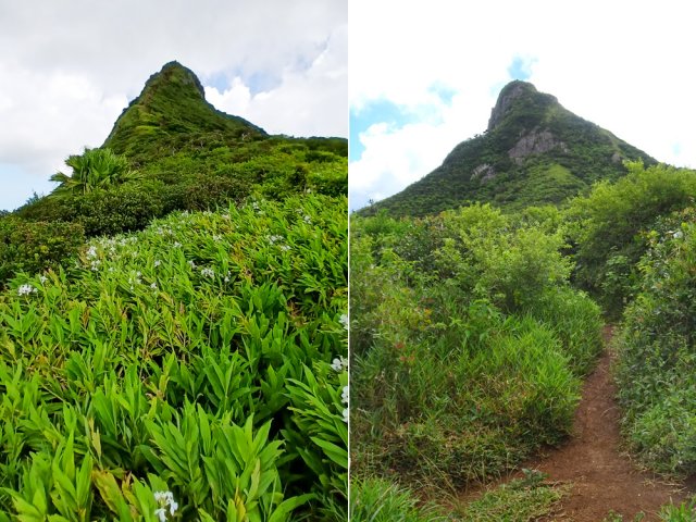 Vue du plateau, la montée semble très difficile