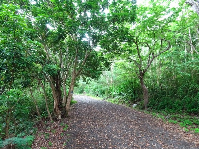 Un peu d'ombre, agréable sous de fortes chaleurs