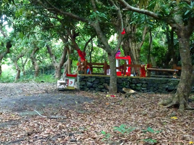 Le petit temple où viennent s 'approvisionner les macaques