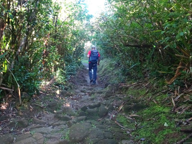 La piste se transforme un moment en un large sentier plat