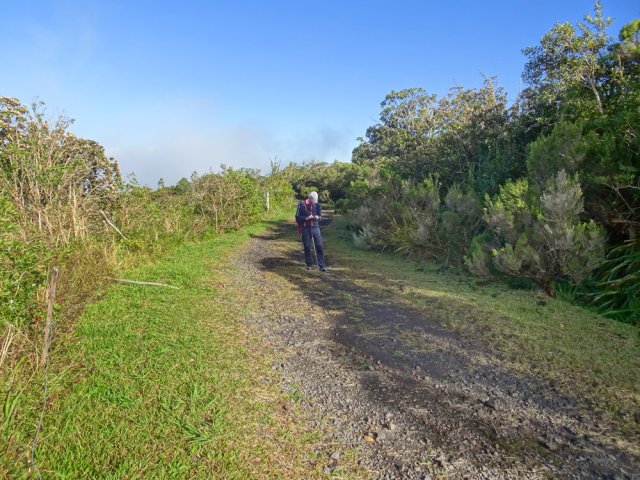 Aucune difficulté de marche sur cette belle piste