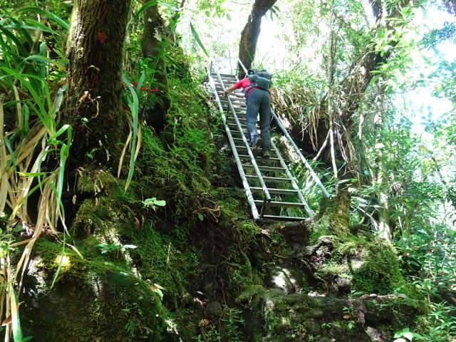 Une longue échelle aide au franchissement d'un cassé