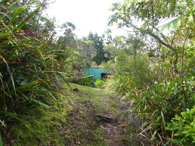 Le sentier débouche à 20 mètres de l'abri de l'ONF