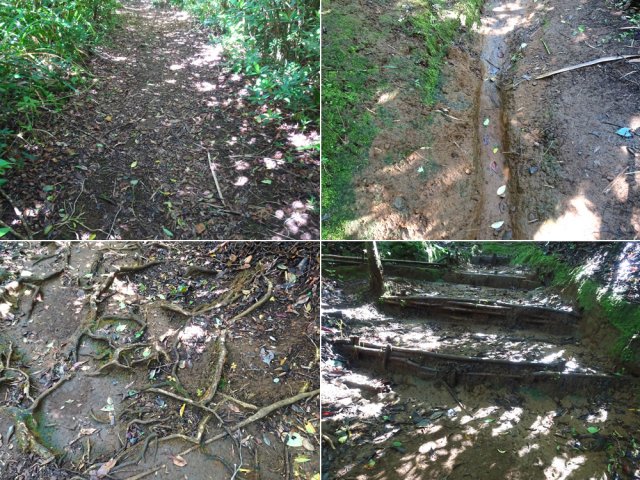 Boue, marches, racines, parties larges ou étroites sur 4 km