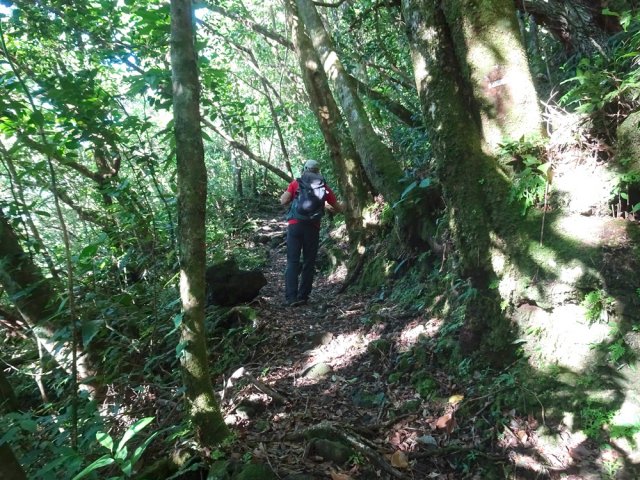 Début de la montée comportant une quinzaine de lacets serrés