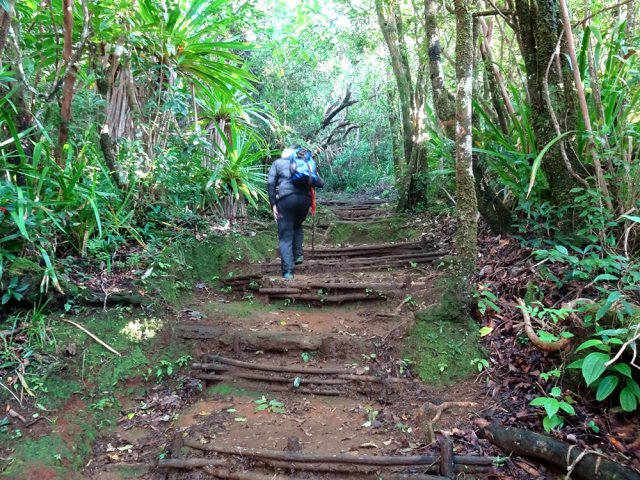 La montée se poursuit sur le Sentier Jacques Payet