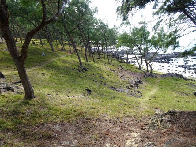 Plusieurs sentiers au choix pour continuer