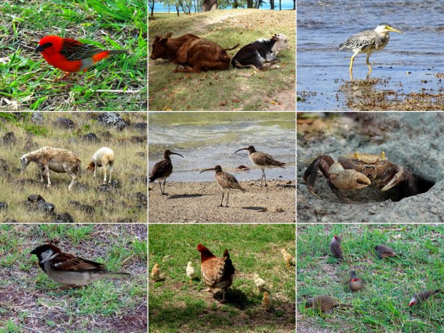 Rencontres variées tout au long du parcours