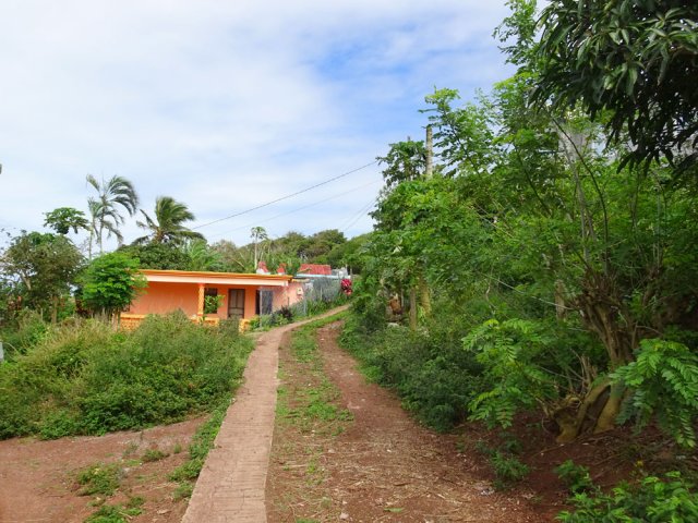 Courte transition entre les habitations, avant le sentier de la forêt