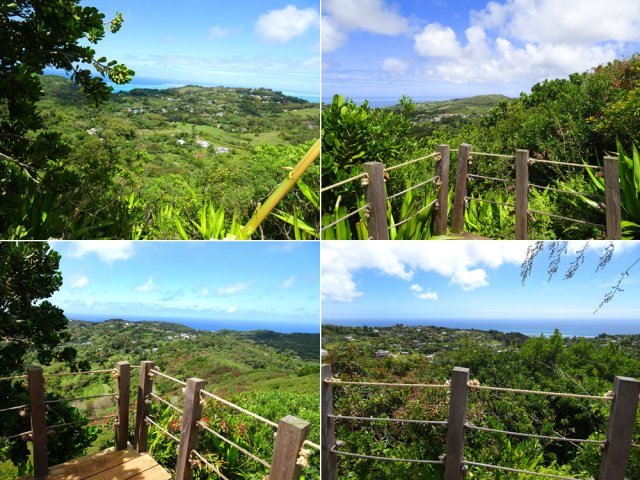Points de vue à la montée et depuis les belvédères