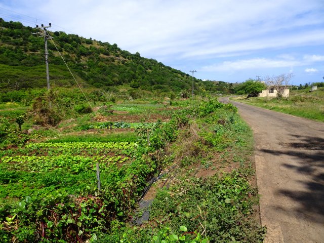 Fin de la boucle en longeant les maraîchages