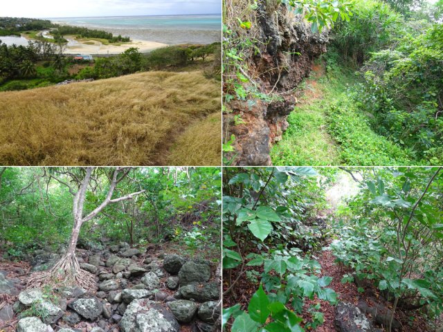 Quelques portions du sentier en début de montée