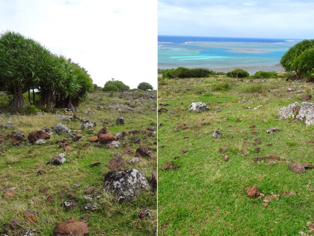 Ailleurs on le perd souvent de yeux