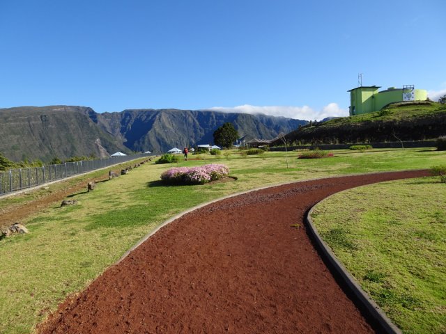 Attendons que poussent les rares arbres plantés