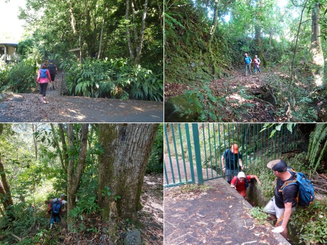 Choisir entre sentier encombré et route interdite !!