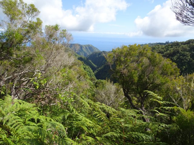 Au loin, le Colorado et la vallée de la Rivière Saint-Denis