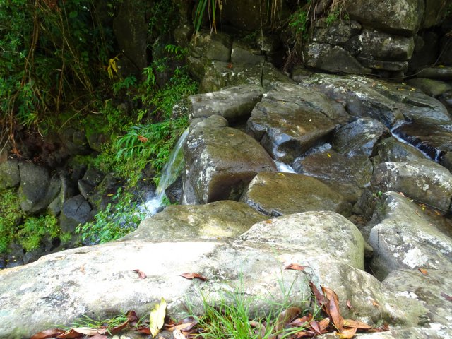 Le débit est faible. Il est préférable de venir lorsqu'il y a plus d'eau