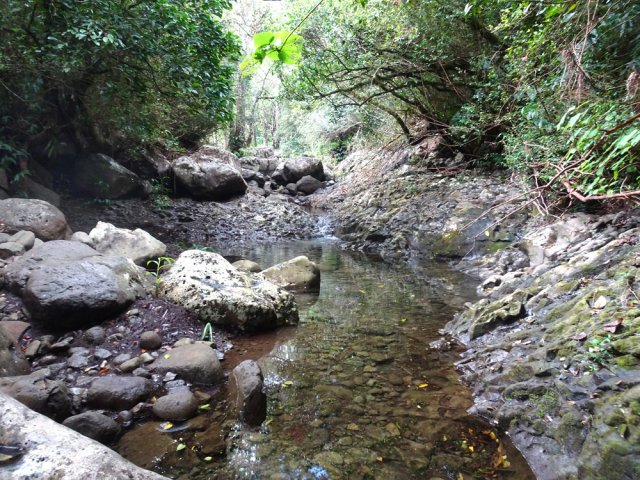 Aucune difficulté pour cette remontée si le niveau est bas